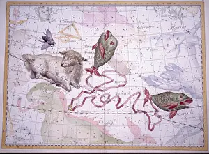 Bode: SIgns of the Zodiac - Aries and Pisces