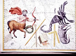 Scorpio: SIgns of the Zodiac - Sagittarius and Scorpio