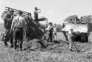 Raking: Silage - harvest - animal feed - raking