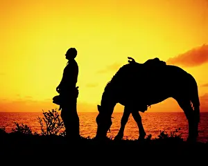 Lan001: Silhouette of Anonymous Western Cowboy Standing