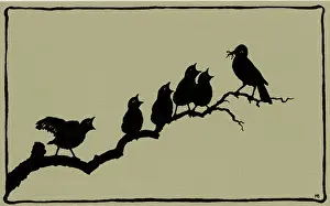 Sings: Silhouette of birds singing on branch