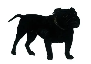 H L Oakley Collection: Silhouette of a British bulldog
