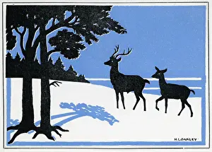 Silhouette of two deer in the snow