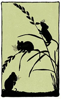Mice: Silhouette of field mice and corn