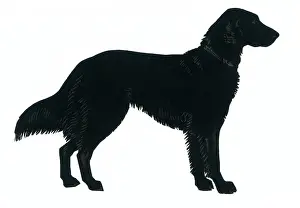 H L Oakley Collection: Silhouette of a labrador retriever