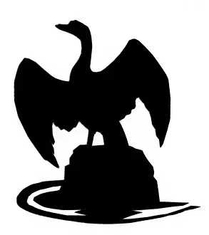 Flapping: Silhouette of a large bird on a rock