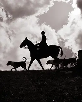 Foxhounds: Silhouette of Master of Hounds on Horseback