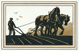 Furrows: Silhouette of ploughing scene