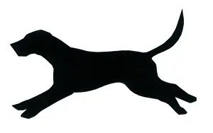 H L Oakley Collection: Silhouette of a Pointer dog