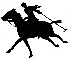 Canter: Silhouette of polo player on horseback