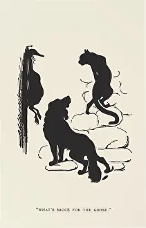 Prowl: Silhouette - Postcard Design