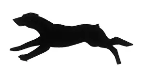 H L Oakley Collection: Silhouette of a running dog
