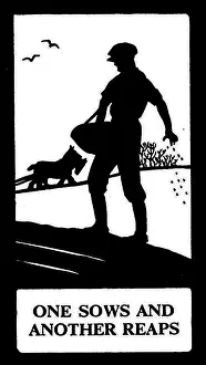 Scattering: Silhouette, One Sows and Another Reaps