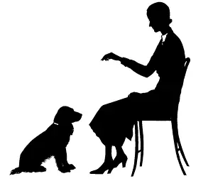H L Oakley Collection: Silhouette of woman training dog