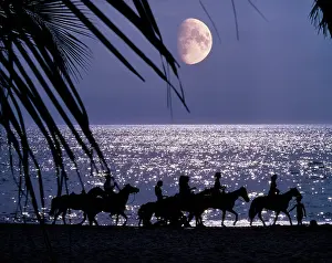 Dreamlike: Silhouetted Anonymous Horseback Riders on Moonlit Beach
