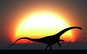 Stance: A silhouetted Diplodocus dinosaur takes at the start of a ?