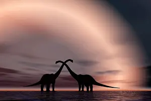 Omeisaurus: The silhouetted forms of a pair of courting sauropod ?