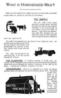 Churns: Silhouettes for Bristol Pure Milk Co Ltd