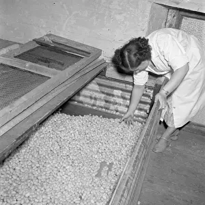 Lullingstone: SILK MANUFACTURE