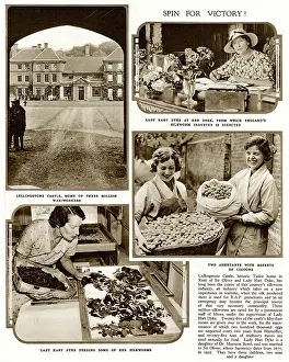 Sep19: Silk production at Lullingstone Castle