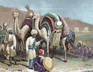 Caravan: Silk Road. Caravan of camels resting. Engraving
