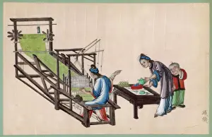 SILK AND TEA