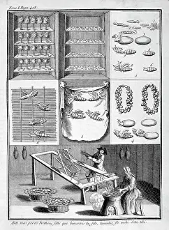 1700: Silk worm cultivation and threading of silk, from