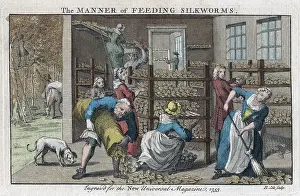 1753: Silkworm farm, showing interior of rearing house