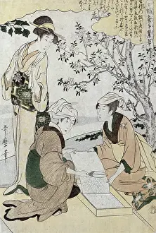 Silkmaking: Silkworms, Silk Making in Japan