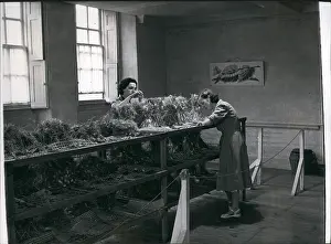 Silkworms: Silkworms and women at work for Coronation, Lullingstone
