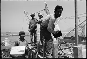 Silos: Silo - construction site - port - harbor - harbour