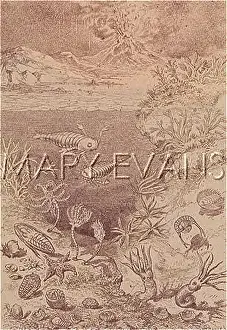 Silurian: SILURIAN L'SCAPE