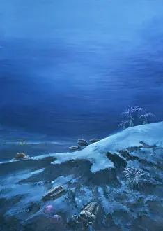 Silurian: Silurian seafloor