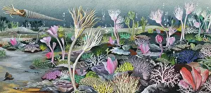 Silurian: Silurian seascape