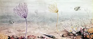 Silurian: Silurian Wenlock sea