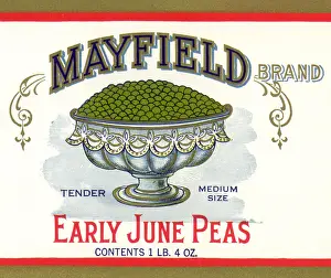 Peas: Silver Bowl of Peas
