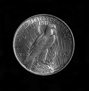 Almighty: A Silver Dollar
