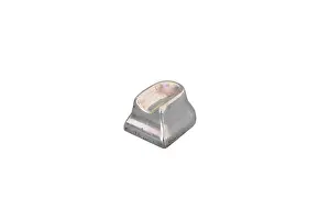 Nugget: Silver Nugget