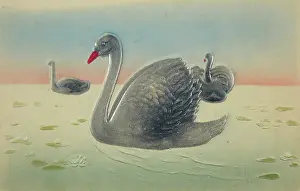 Embossing: Three silver swans