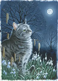 Bowes: Silver Tabby Cat by Moonlight with flowers
