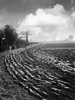 Furrows: SILVERED FURROWS