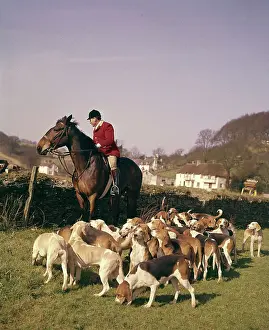 Silverton: Silverton Foxhounds and huntsman, Devon