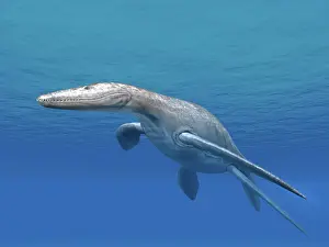 Tithonian: Simolestes is an extinct pliosaur from the Middle Jurassic ?