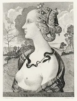 Giuliano: Simonetta Vespucci