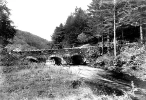 Simonsbath: Simonsbath, Bridge 1907