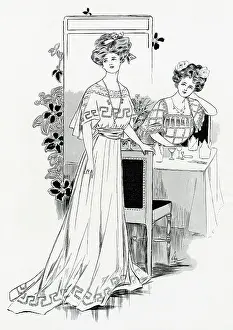 Meander: Simple dining dress 1907
