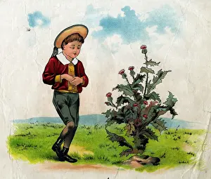 Thistle: Simple Simon with thistle