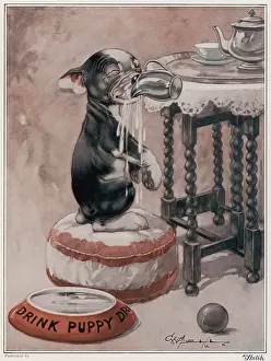 Studdy: You Simply Must Save Water by George Studdy