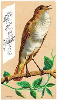 Chirping: Singing bird on a birthday card
