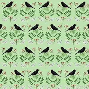 Blackbirds: Singing blackbirds with berries and flowers